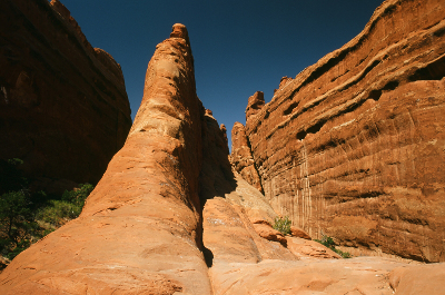A Gully in Arches NP
